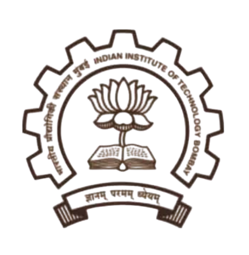 Witty International School